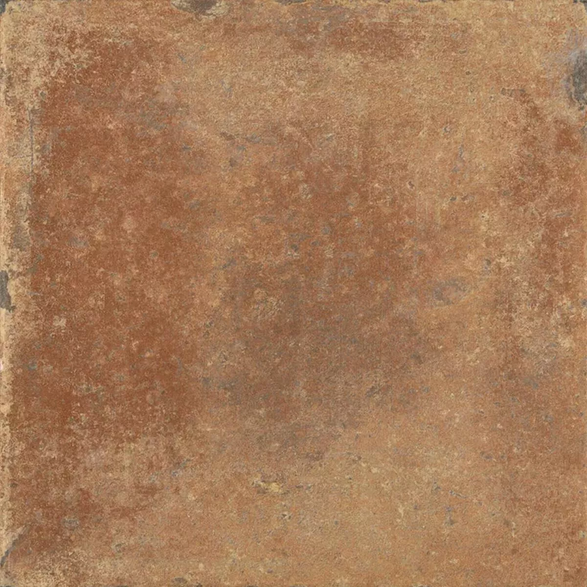 Queens Terracotta Dark Brown 25x25 cm